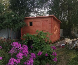 IMG-301eaa9d422addb2523e8f319443e4af-V