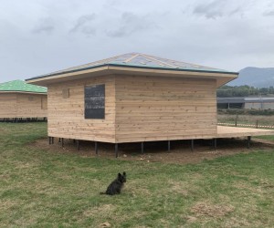 IMG-6eb9bd3291af43eb9b375a3f0f4e423d-V